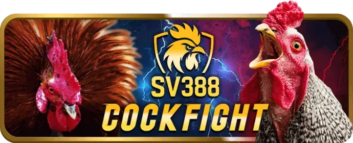 Đá gà cựa dao cm8885